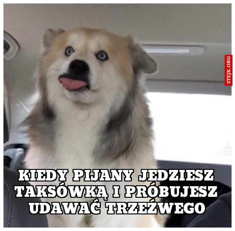 Kiedy pijany jedziesz taksówką i próbujesz udawać trzeźwego