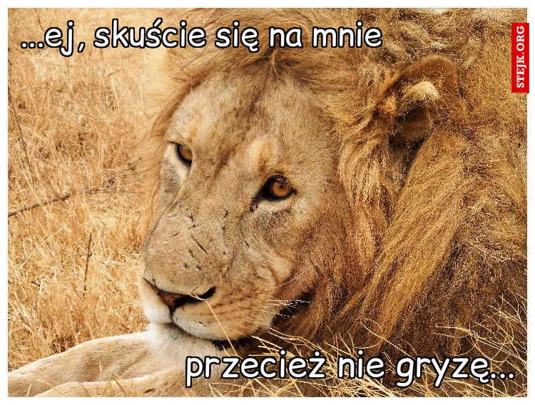 ...ej, skuście się na mnie