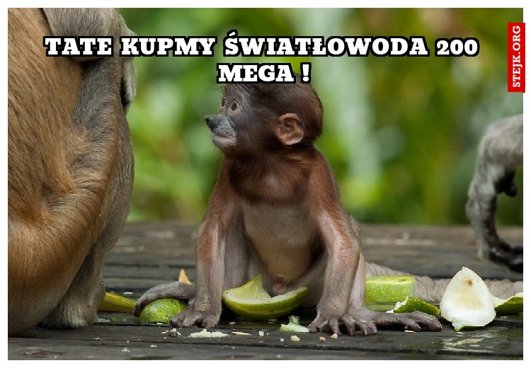 Tate kupmy światłowoda 200 mega !