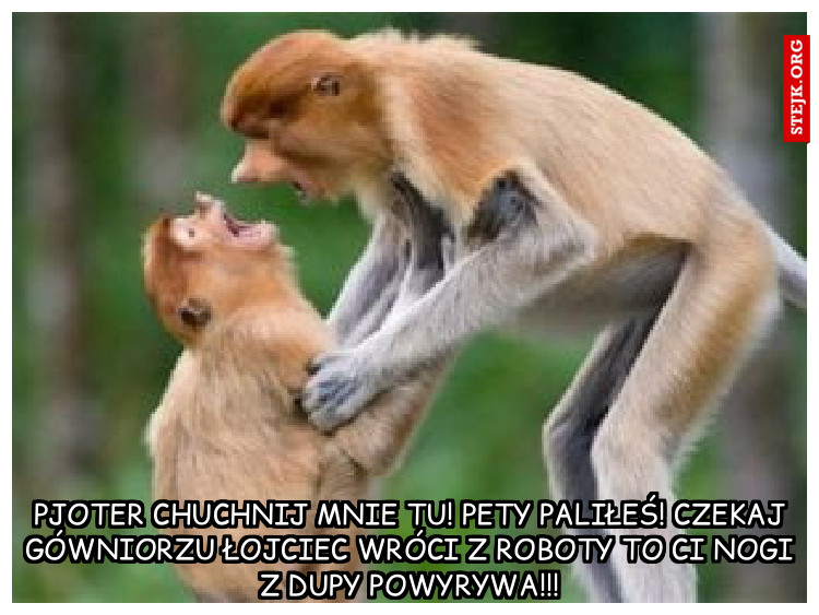pjoter chuchnij mnie tu! pety paliłeś! czekaj gówniorzu łojciec wróci z roboty to ci nogi z dupy powyrywa!!!