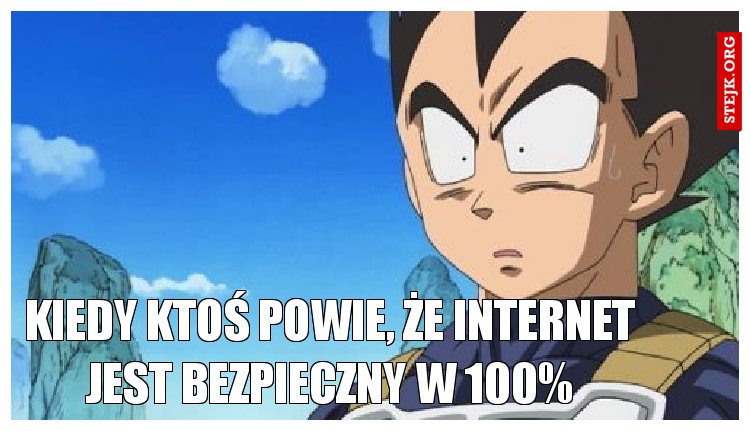 KIEDY KTOŚ POWIE, ŻE INTERNET JEST BEZPIECZNY W 100%