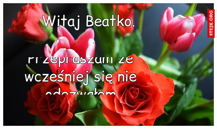 Witaj Beatko.
