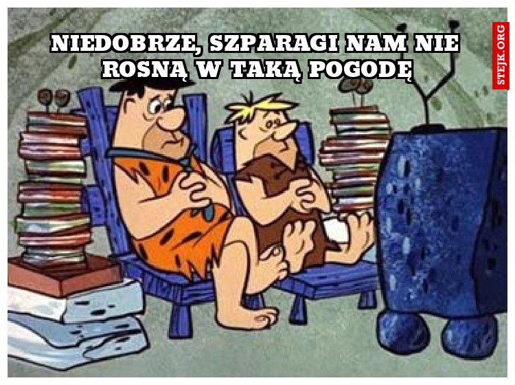Niedobrze, szparagi nam nie rosną w taką pogodę