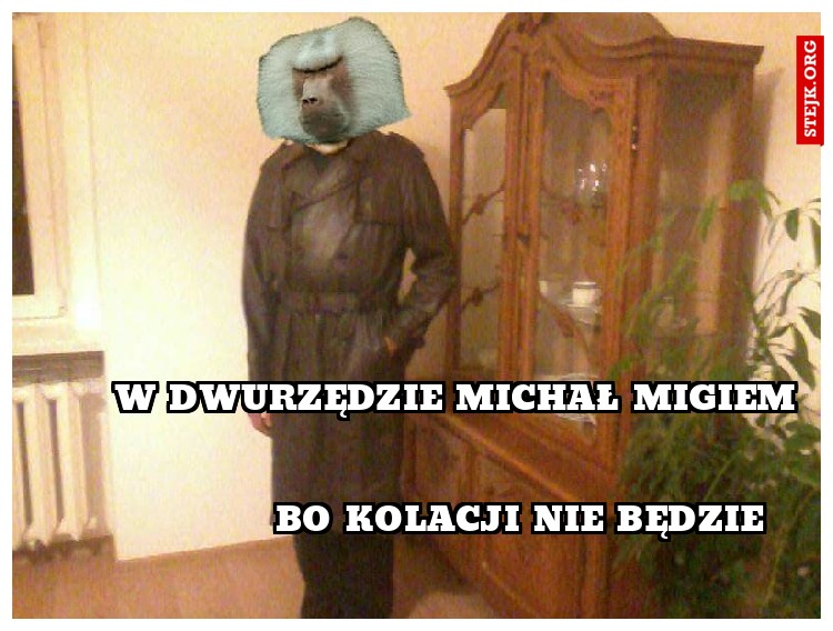 W dwurzędzie michał migiem 