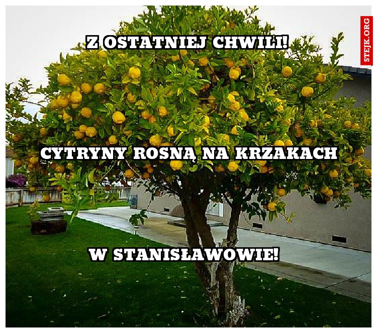 Z ostatniej chwili!