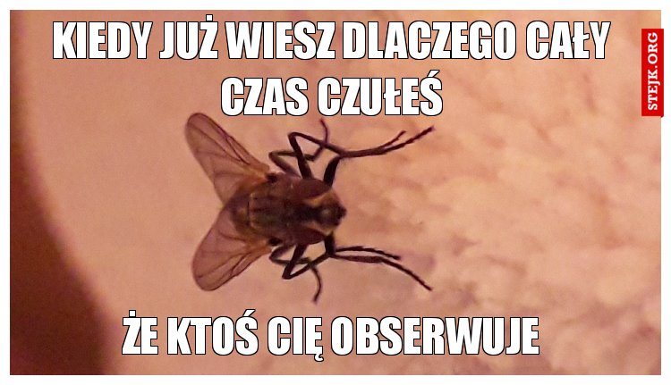 Kiedy już wiesz dlaczego cały czas czułeś