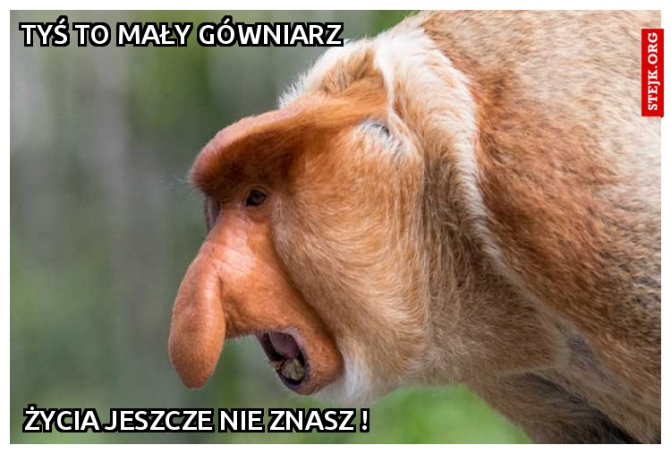 Tyś to mały gówniarz
