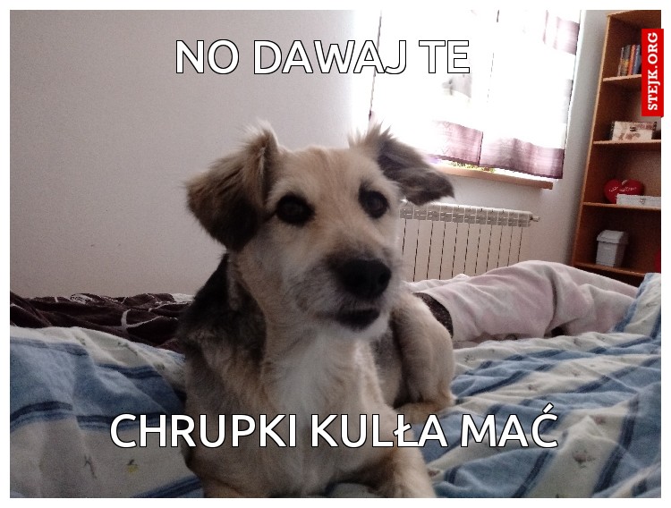 No dawaj te 