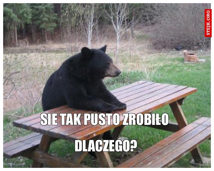 Sie tak pusto zrobiło
