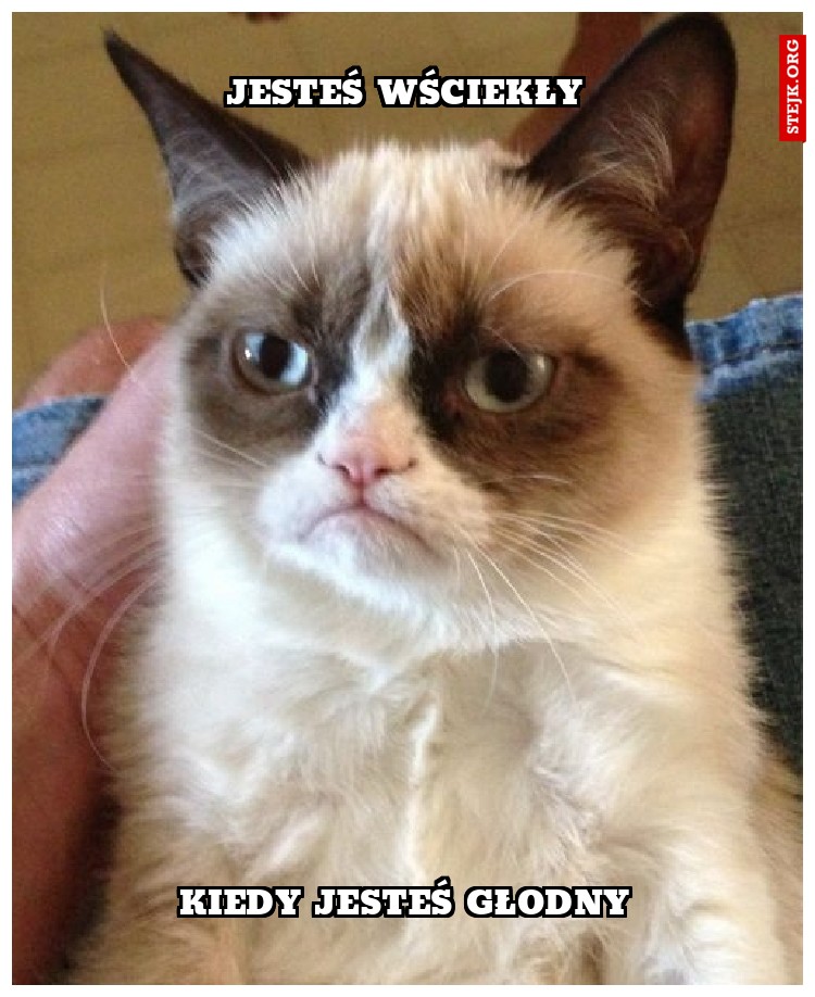 kłud cię fkurza!
