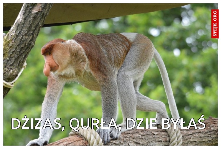 Dżizas, qurła, dzie byłaś 