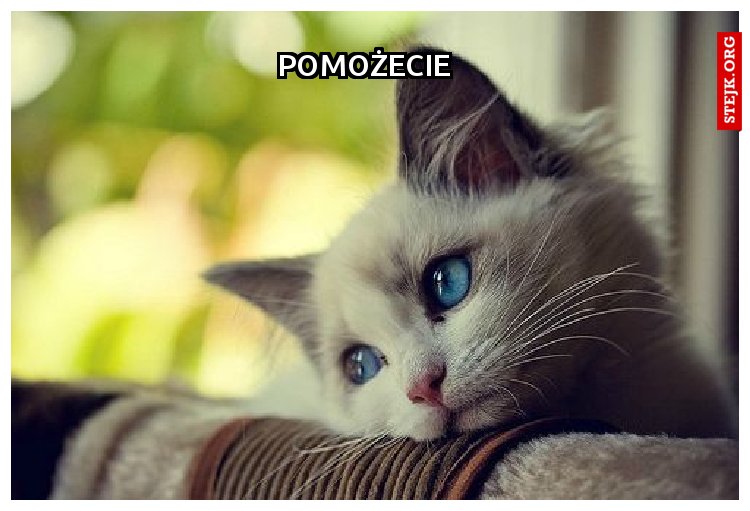 Czyżby dzisiaj było moje święto?