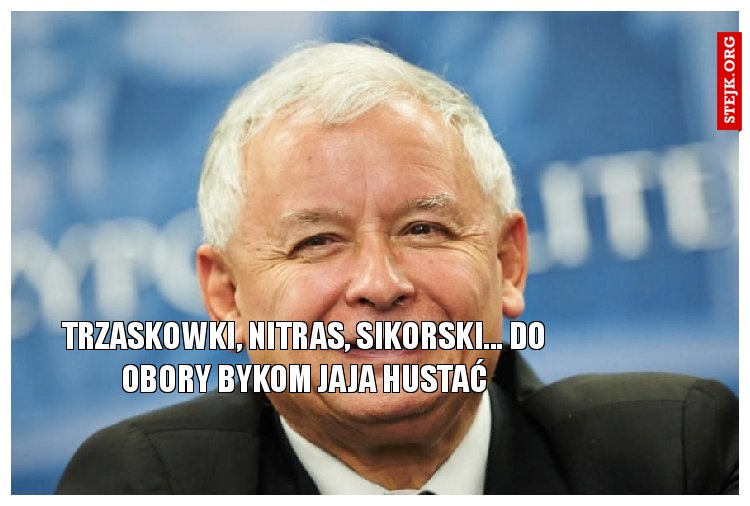 TRZASKOWKI, NITRAS, SIKORSKI... DO OBORY BYKOM JAJA HUSTAĆ