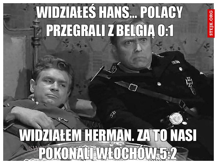 Widziałeś Hans... Polacy przegrali z Belgią 0:1