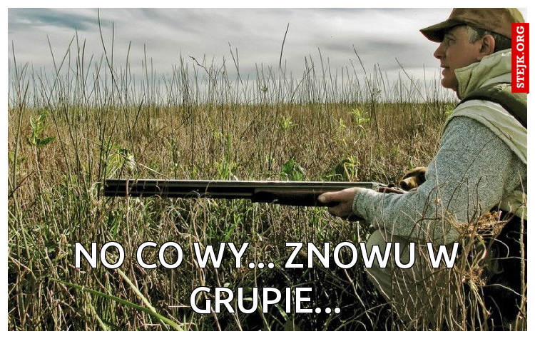 no co wy... znowu w grupie...