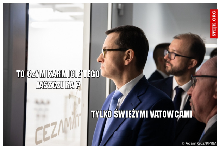 TO CZYM KARMICIE TEGO JASZCZURA ?