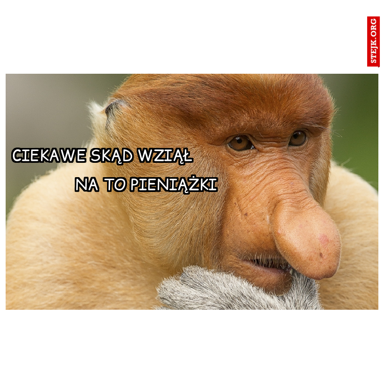 Ciekawe skąd wziął na to pieniążki