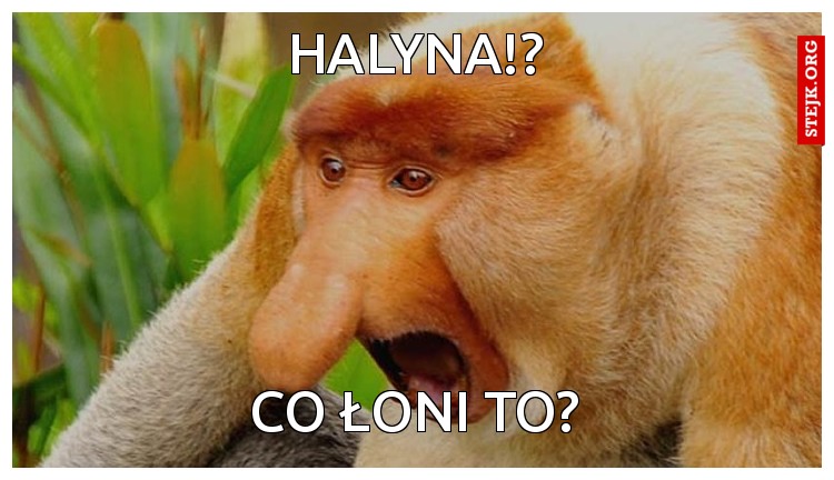 Halyna!?
