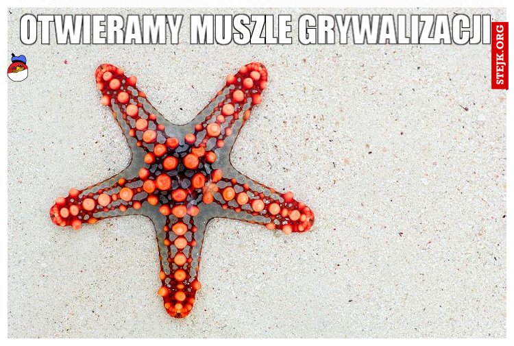 Otwieramy muszle grywalizacji