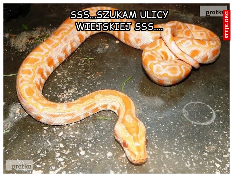 SSS...Szukam ulicy Wiejskiej SSS....
