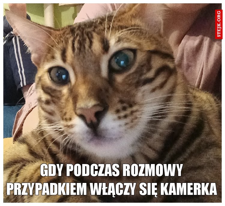 gdy podczas rozmowy przypadkiem włączy się kamerka