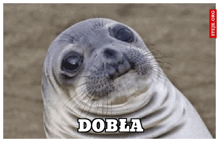 DOBŁA