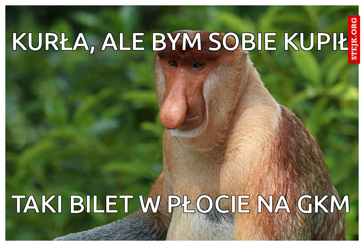 KURŁA, ALE BYM SOBIE KUPIŁ