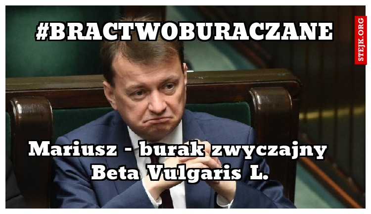 #bractwoburaczane