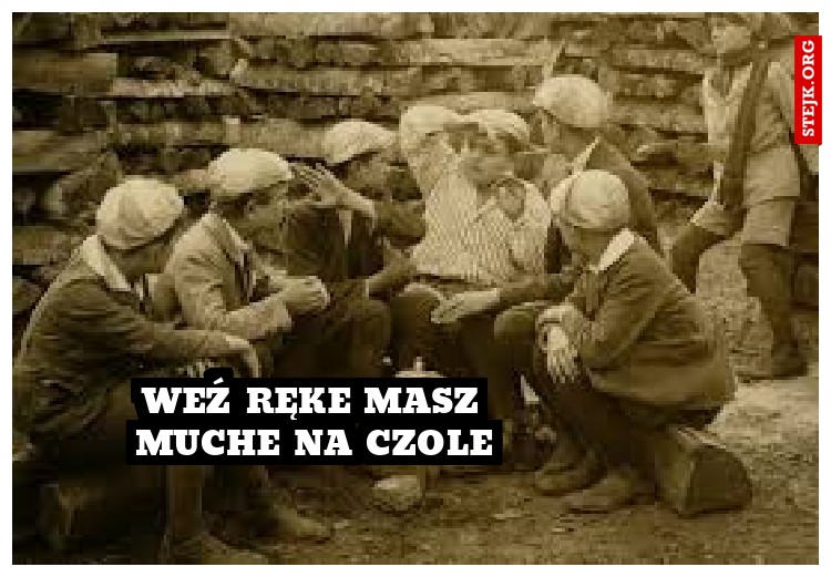 Weź ręke masz muche na czole