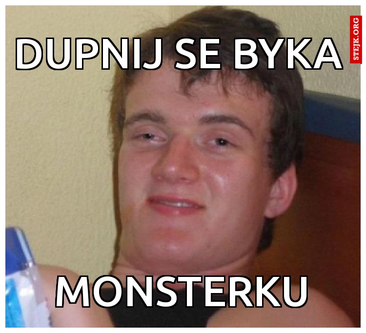 DUPNIJ SE BYK