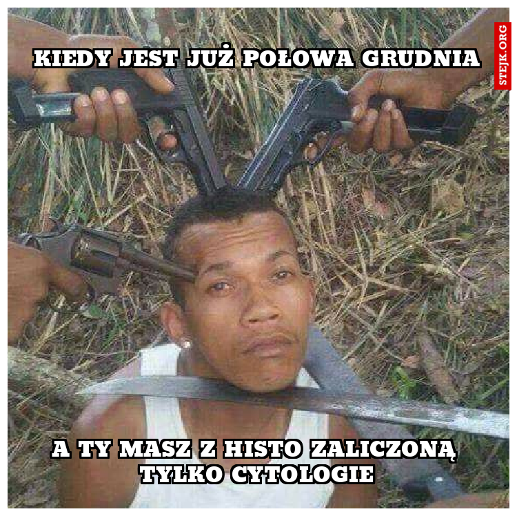 Kiedy jest już połowa grudnia