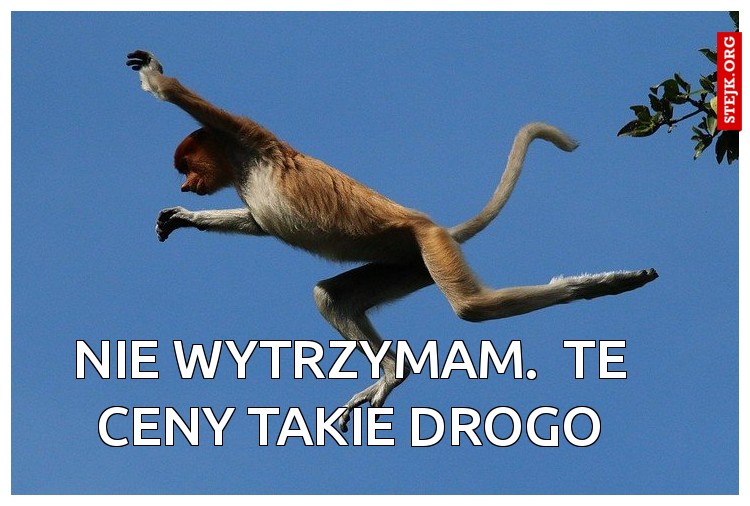 Nie wytrzymam.  Te ceny takie drogo