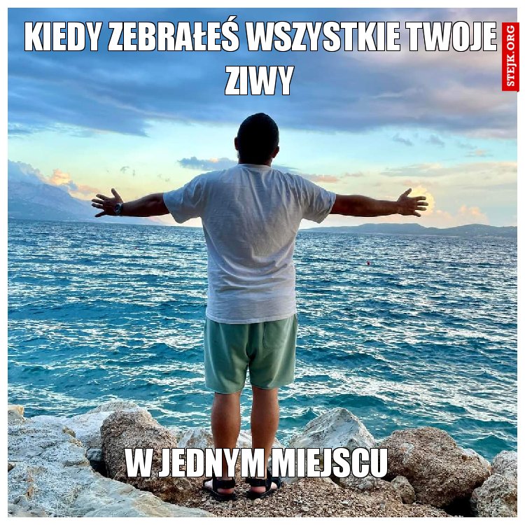 Kiedy zebrałeś wszystkie Twoje ziwy