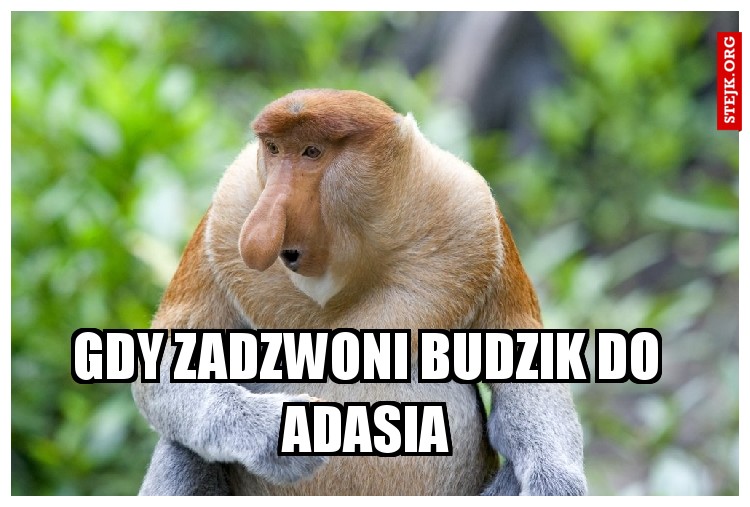Gdy zadzwoni budzik do Adasia