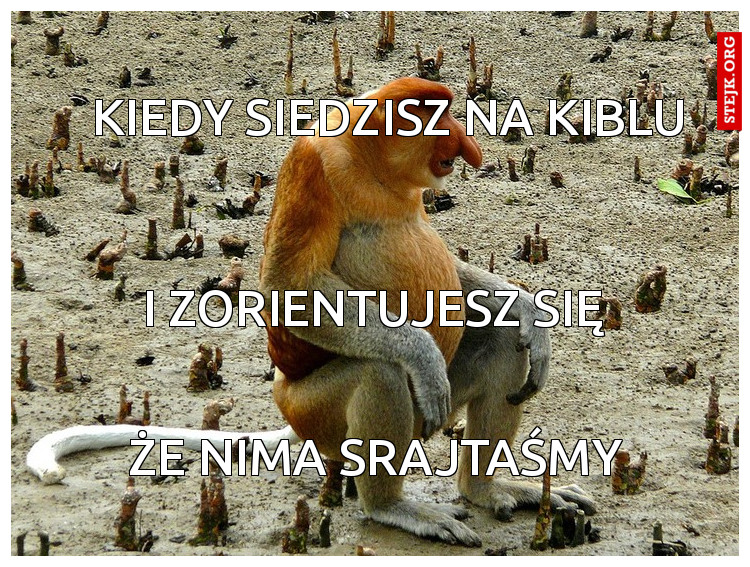 Kiedy siedzisz na kiblu