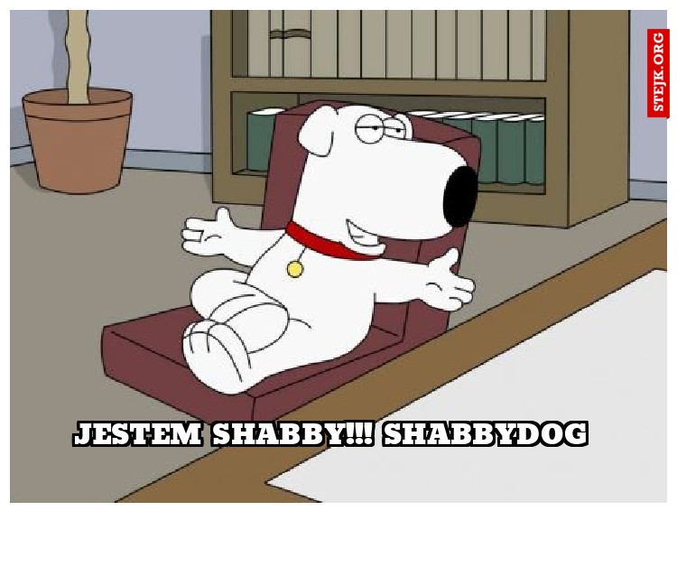 Jestem Shabby!!! ShabbyDog 