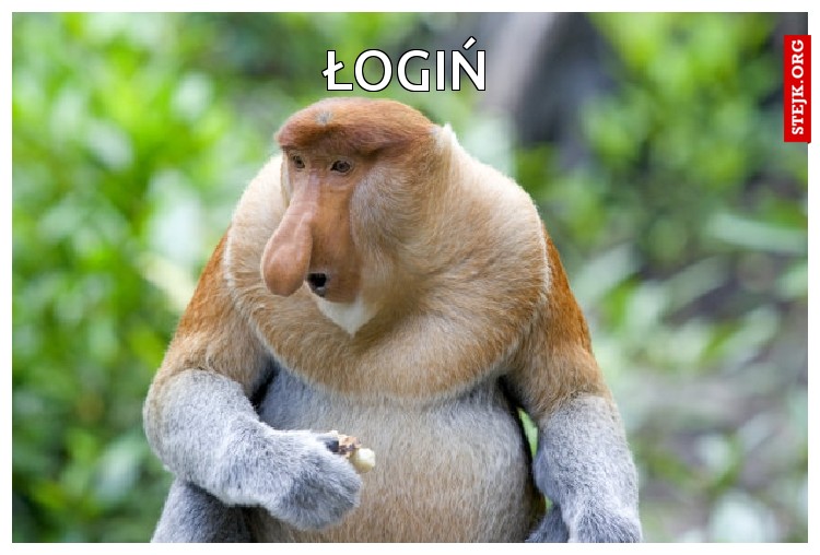 Łogiń