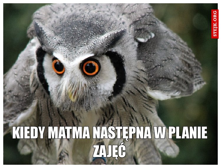 Kiedy matma następna w planie zajęć