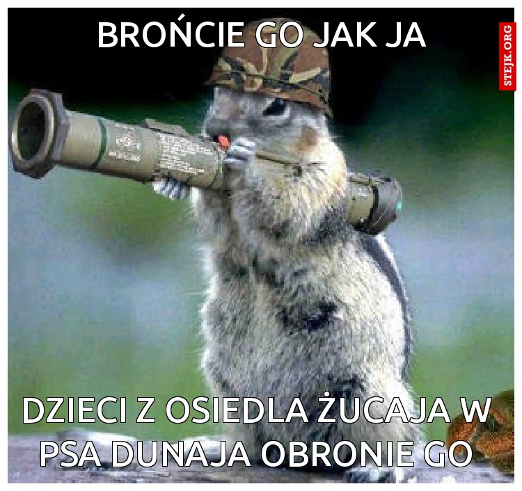 PODOBNO DZIECI Z OSIEDLA ŻUCAJĄ W PSA