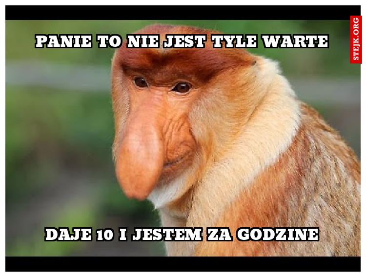 PANIE TO NIE JEST TYLE WARTE