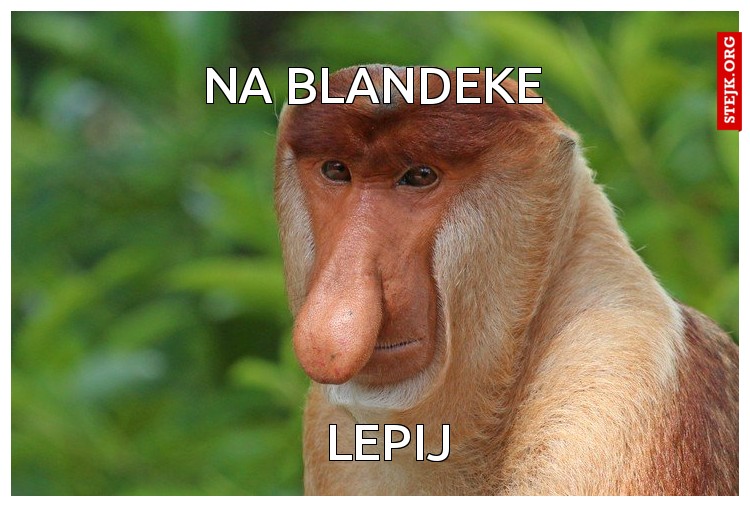 Na blandeke