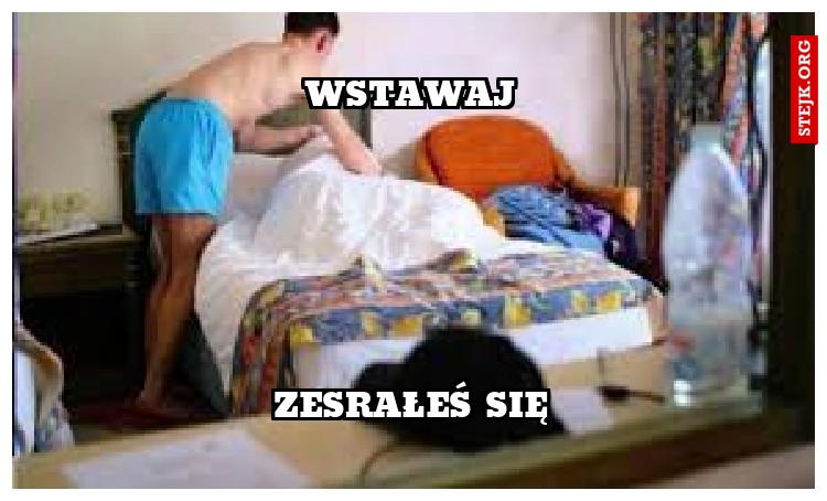 wstawaj