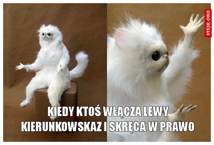 Kiedy ktoś włącza lewy kierunkowskaz i skręca w prawo