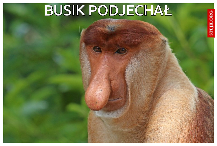 Busik podjechał