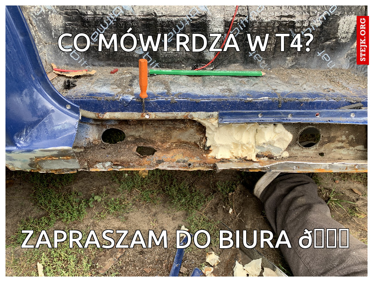 Co mówi rdza w T4?