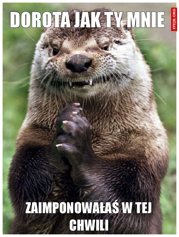 Dorota jak Ty mnie 