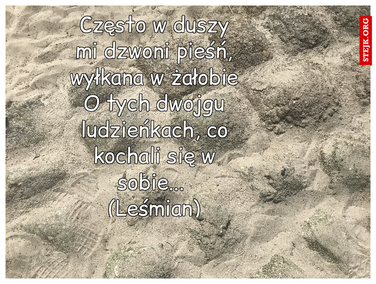 Często w duszy mi dzwoni pieśń, wyłkana w żałobie O tych dwojgu ludzieńkach, co kochali się w sobie...  (Leśmian)