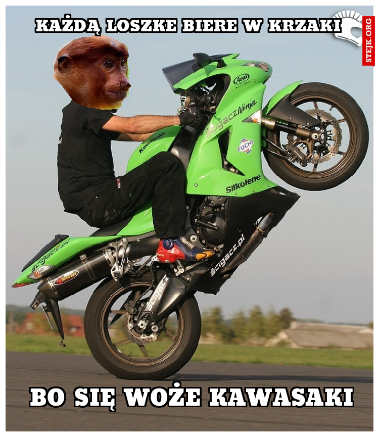 KAŻDĄ LOSZKe BIERE W KRZAKI