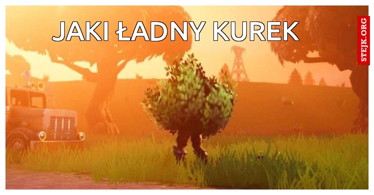 Jaki ładny Kurek