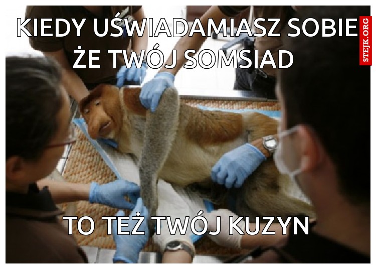 kiedy uświadamiasz sobie że twój somsiad 